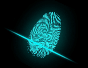 Fingerprint Verification