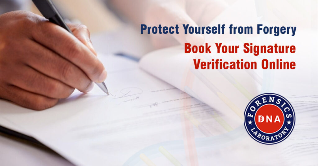 Signature Verification