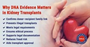 DNA Testing for Kidney Transplant