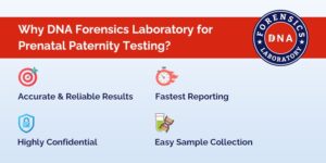 Prenatal Paternity Testing Services
